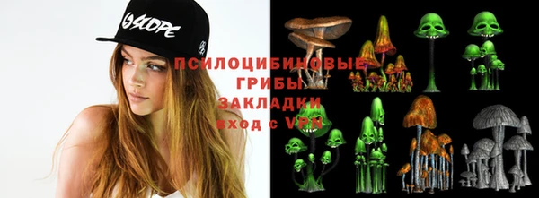 гидра Мегион