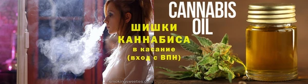 гидра Мегион