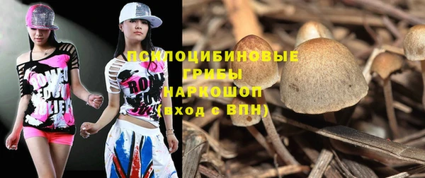 мяу мяу мука Майский