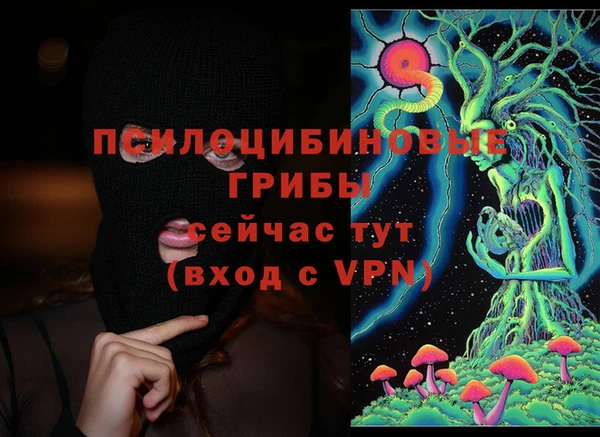 гидра Мегион