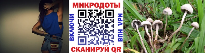 сайты даркнета состав  Мелеуз  Галлюциногенные грибы GOLDEN TEACHER 