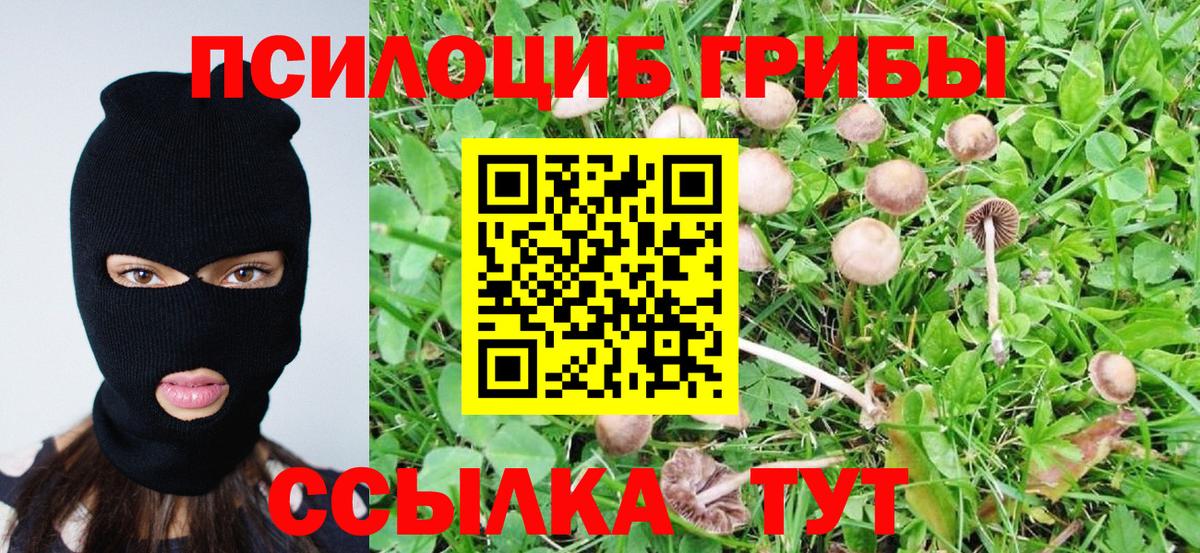 Псилоцибиновые грибы Psilocybe Мелеуз