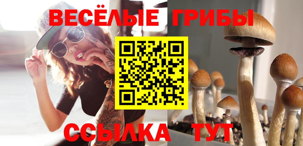 Галлюциногенные грибы Psilocybine cubensis Мелеуз