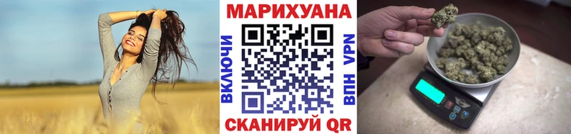Конопля сатива мега сайт Мелеуз